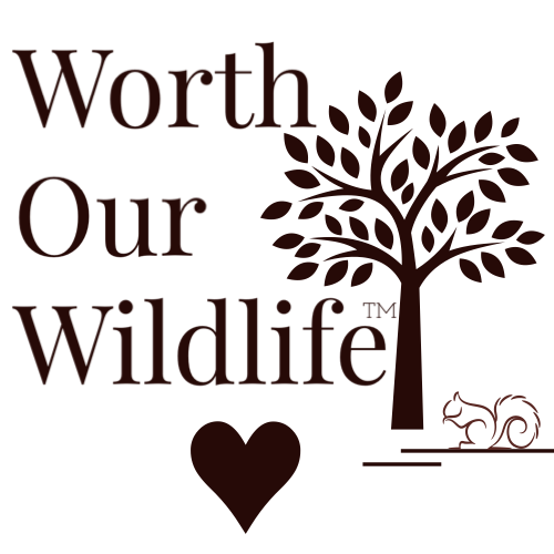 Worth Our Wildlife